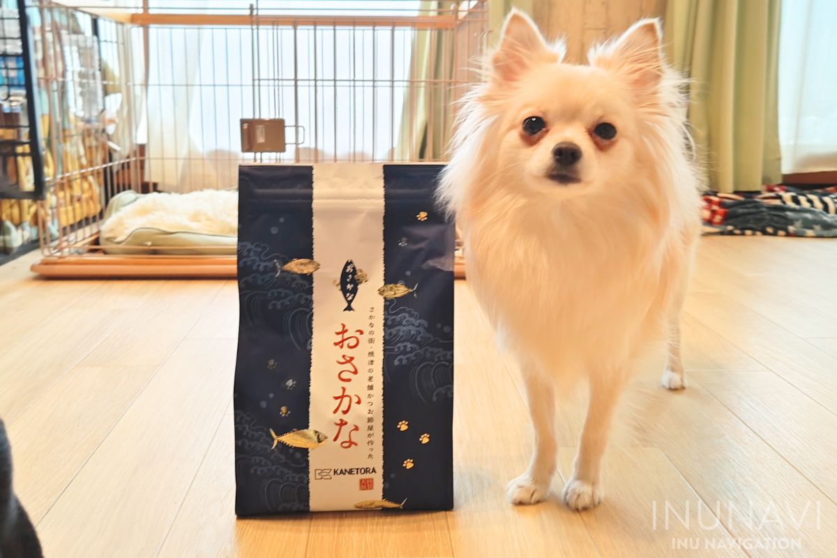 金虎おさかなドッグフード　パッケージと涙やけを起こしている愛犬